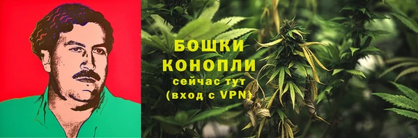 стафф Верея
