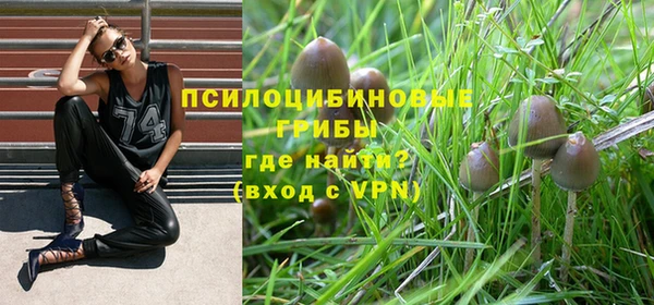 тгк Богданович