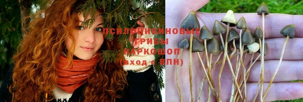 стафф Верея
